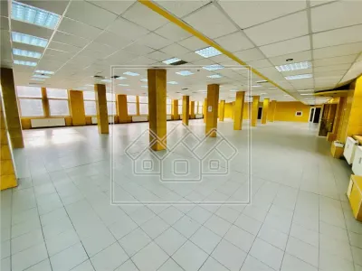 Spatiu industrial si de birouri in zona Terezian - finisaje moderne - foto 6