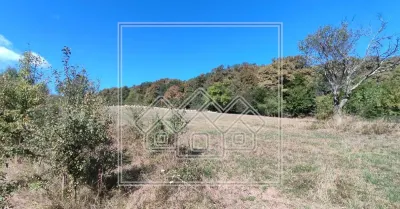 Teren in zona Bradu - priveliste deosebita - pretabil investitie - foto 4
