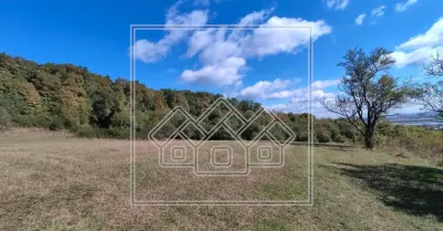 Teren in zona Bradu - priveliste deosebita - pretabil investitie - foto 10