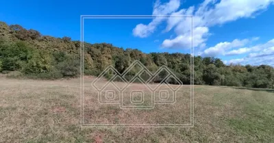 Teren intravilan cu priveliste deosebita - pretabil investitie - Bradu - foto 4