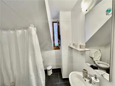 3 apartamente, pretabil investitie, cu cont de booking, zona Centrala - foto 10