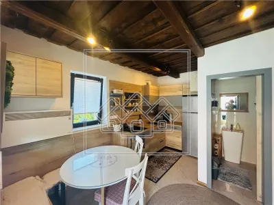 Casa de vacanta cu teren mare, pretabil investitii - Ocna Sibiului - foto 6