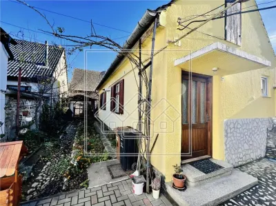 Casa individuala in Turnisor, 292 mp Teren, Predare imediata - Sibiu