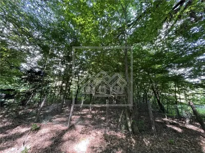 Teren in Cisnadie - 1.500 mp, inainte de Tocile, acces la drum, investitie - foto 2