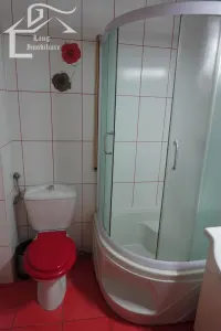 Apartament 2 camere de inchiriat Ultracentral - foto 12