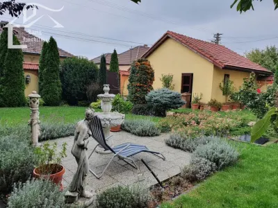 CASA DE INCHIRIAT ARADUL NOU - Arad