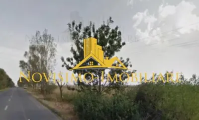 NOVISIMO-IMOBILIARE : TEREN IN PAULESTI - Paulesti