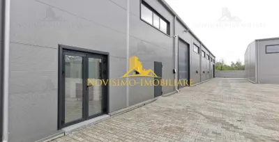 NOVISIMO-IMOBILIARE: HALA DE INCHIRIAT - foto 7