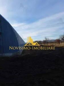 NOVISIMO-IMOBILIARE: HALA DE INCHIRIAT - foto 3