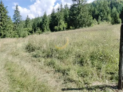 Teren de vanzare pt cabana pe Valea Ilvei - foto 11