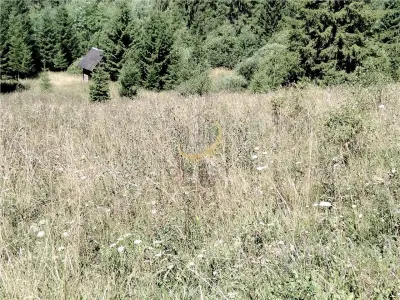 Teren de vanzare pt cabana pe Valea Ilvei - foto 21