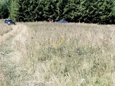 Teren de vanzare pt cabana pe Valea Ilvei - foto 22