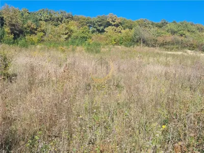 Teren intravilan Corunca - foto 6