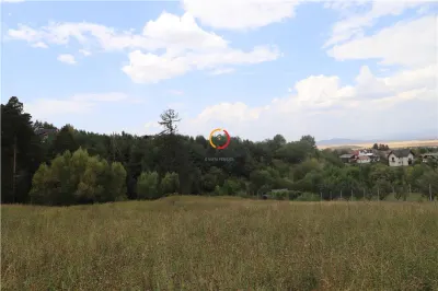 teren intravilan cu PUZ si PUD  3 loturi - foto 4