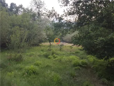 Teren cu locatie deosebita! Dambul Morii! - foto 4