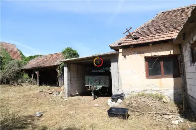 casa traditionala Bruiu Somartin judet Sibiu - foto 14