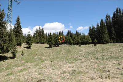 terenuri speciale Padina Busteni, sunt dispuse ca o veritabila coroana in jurul lacului Bolboci - foto 6