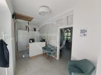 Spatiu pentru birouri, 160 mp utili, situat in zona Piata Cipariu! - foto 3