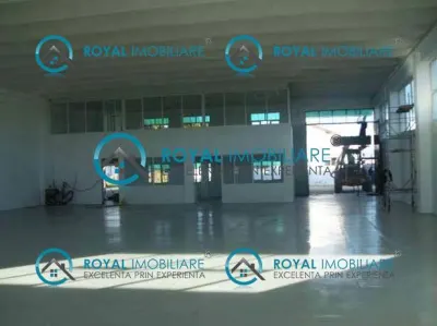 Royal Imobiliare - Inchirieri spatii industriale zona Filipesti de targ - foto 6