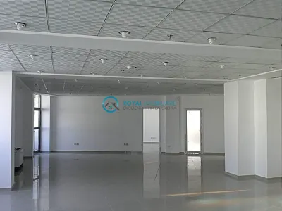 Royal Imobiliare - inchirieri spatii birouri - foto 7