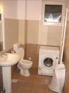 ROYAL IMOBILIARE - Inchiriere vila zona Nord - foto 12