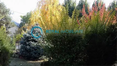 Royal Imobiliare-Vanzare Vila Zona Paulesti - foto 3