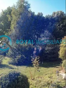 Royal Imobiliare-Vanzare Vila Zona Paulesti - foto 6