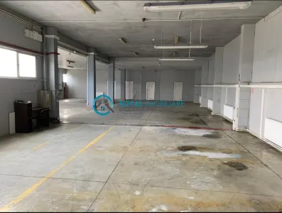 Royal Imobiliare-Inchiriere Spatiu Industrial Zona Boldesti Scaieni - foto 7