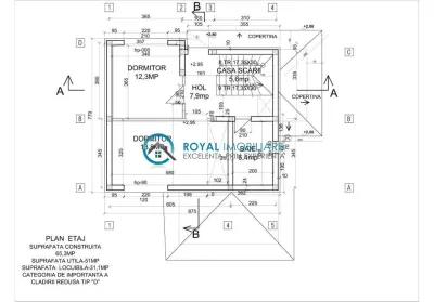 Royal Imobiliare-Vanzare Vila Baicoi - foto 14