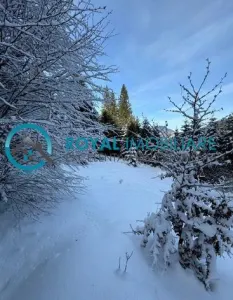 Royal Imobiliare-Vanzare Teren Intravilan Zona Predeal - foto 4