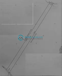 Royal Imobiliare - Vanzare Teren Intravilan zona Paulesti Noi - Paulestii Noi