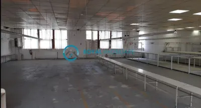 Royal Imobiliare-Inchiriere Spatiu Industrial Zona Vest - foto 4