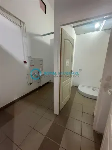 Royal Imobiliare - Inchiriere spatiu comercial zona Transilvaniei - foto 10