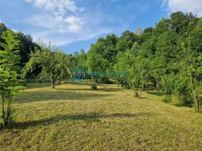 Royal Imobiliare - Vanzare teren intravilan Valea Tarsei - Breaza - Valea Tarsei