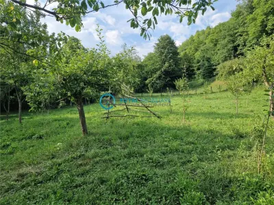Royal Imobiliare - Vanzare teren intravilan Valea Tarsei - Breaza - foto 3