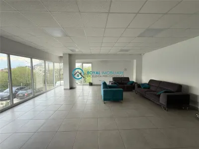 Royal Imobiliare - Inchiriere spatiu industrial zona Tantareni - foto 9
