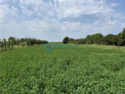 Royal Imobiliare - Vanzare teren intravilan Zalhanaua - foto 2
