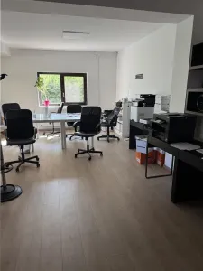 Royal Imobiliare - Vanzare Vila Zona Rudului - foto 10