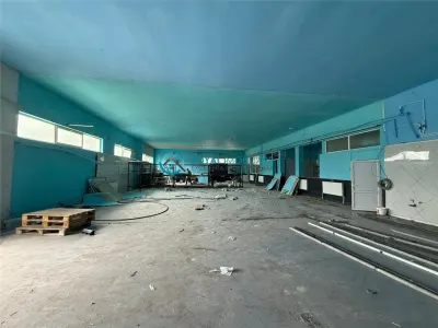 Royal Imobiliare - Inchirieri Spatii Industriale Paulesti - foto 4