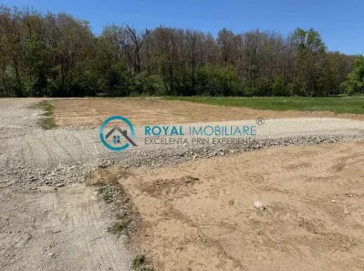 Royal Imobiliare - Vanzare teren intravilan com. Paulesti - foto 2