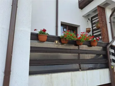 Apartament 2 camere decomandat cu 2 balcoane Visani ! - foto 10