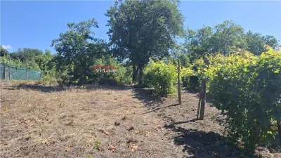 Casa cu teren 2783 mp- Panciu-Satu Nou - foto 12