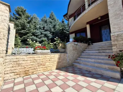 Vila eleganta -  proiect deosebit crama garaj sala de fitnes foisor si 825m teren Plopii fara sot Bucium - foto 6