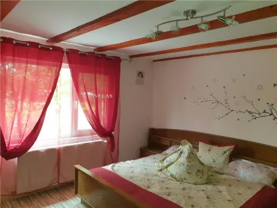 Casa Golesti cu 322 mp teren - foto 7