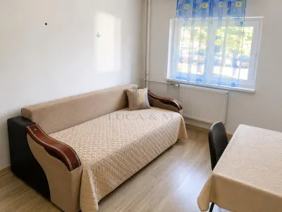 Apartament 1 camera Badea Cartan/Medicina - foto 2