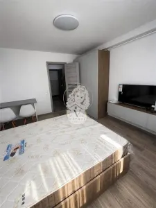 GARSONIERE DE VANZARE IN TITAN- DIRECT DEZVOLTATOR - foto 3
