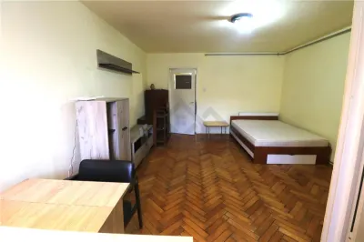 Apartament 1 camera, centrala proprie ,zona Take Ionescu - foto 3