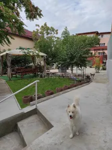 Vila Dristor- Ramnicu Sarat - Bucuresti