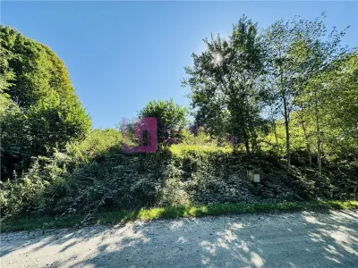Teren intravilan 3000 mp | Valea Avrigului | deschidere 80 ml - Avrig