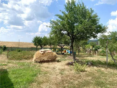RECO Casa  in Tiganesti de Cris , renovata, teren mare si toate utilitatile - foto 10